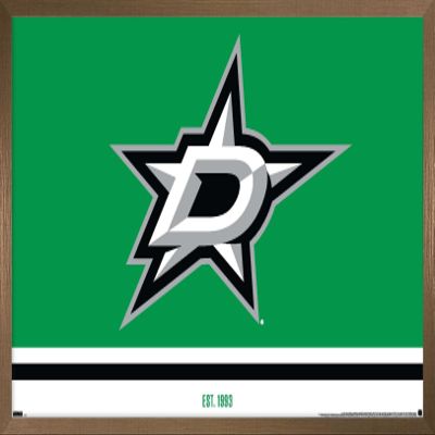 Trends International NHL Dallas Stars - Logo 21 Wall Poster, 14.725" x 22.375", Bronze Framed Version