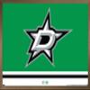 Trends International NHL Dallas Stars - Logo 21 Wall Poster, 14.725" x 22.375", Bronze Framed Version view 1