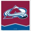 Trends International NHL Colorado Avalanche - Logo 21 Wall Poster, 14.725" x 22.375", White Framed Version view 1