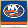 Trends International NHL New York Islanders - Logo 21 Wall Poster, 22.375" x 34", Gold Framed Version view 1