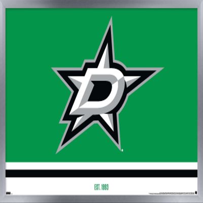 Trends International NHL Dallas Stars - Logo 21 Wall Poster, 14.725" x 22.375", Silver Framed Version