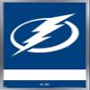 Trends International NHL Tampa Bay Lightning - Logo 21 Wall Poster, 14.725" x 22.375", Silver Framed Version view 1