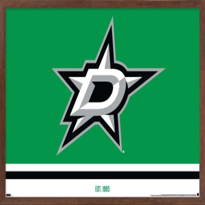 Trends International NHL Dallas Stars - Logo 21 Wall Poster, 14.725" x 22.375", Mahogany Framed Version