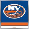 Trends International NHL New York Islanders - Logo 21 Wall Poster, 22.375" x 34", Silver Framed Version view 1