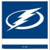 Trends International NHL Tampa Bay Lightning - Logo 21 Wall Poster, 14.725" x 22.375", White Framed Version view 1