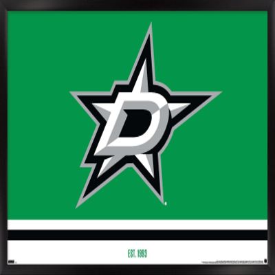 Trends International NHL Dallas Stars - Logo 21 Wall Poster, 14.725" x 22.375", Black Framed Version