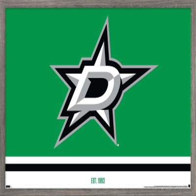 Trends International NHL Dallas Stars - Logo 21 Wall Poster, 14.725" x 22.375", Barnwood Framed Version