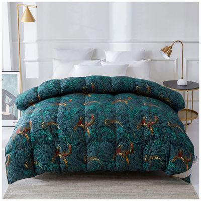 BDMFJY 1~2.75kg 95% Goose Down Quilt Duvet King Queen Twin Size, Luxurious Goose Down Feather Comforter, 750+ Fill Power, Hotel Style Fluffy Goose Down Duvet Insert with Ties,A,200x230cm2500g