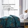BDMFJY 1~2.75kg 95% Goose Down Quilt Duvet King Queen Twin Size, Luxurious Goose Down Feather Comforter, 750+ Fill Power, Hotel Style Fluffy Goose Down Duvet Insert with Ties,A,200x230cm2500g view 2