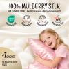 OLESILK Toddler 100% Mulberry Silk Pillowcase, Zipper, 13"x 18", Plum view 2