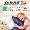 OLESILK 100% Mulberry Silk Toddler Pillowcase for Hair and Skin, Both Sides 19 Momme Pure Natural Silk Travel Pillow Cases with Hidden Zipper, 13"x 18", Navy view 2