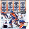 Trends International Wayne Gretzky - Banners Wall Poster, 22.4L x 14.7W, Premium Poster & Mount Bundle view 1