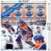 Trends International Wayne Gretzky - Banners Wall Poster, 22.4L x 14.7W, Premium Poster & Mount Bundle view 3