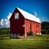 BARN Quilt Block Outdoor Square BQ021 | 6 Sizes | Outside Pattern | Wall Art | Yard Art | Barn Quilt Sign | Farm Quilt Design (11.5" x 11.5" 1 Sided) view 3