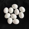 balacoo 30pcs Simulation Bird Eggs for Breeding and Decoration Realistic Fake Bird Eggs for Home Office and Restaurant Use view 3
