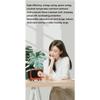 Grafken Retro Heater, Energy Saving and Electricity Saving, PTC Ceramics, Intelligent Constant Temperature, Mini Desktop Heater, Office and Household Quick Heat Heater (Color : Pink) view 2