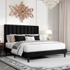 HOOMIC Queen Size Platform Bed Frame with Velvet Upholstered Plush Vertical Channel Headboard, No Box Spring Needed, Easy Assembly,Black view 1