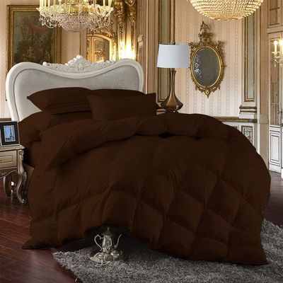 Star Linen 100% Egyption Cotton Comforter 100 Series 500 GSM 5 PC Comforter Set Fill Power Buffy Overfilled All Season Chocolate - Twin XL Size Soft Quilted with Corner Tabs, Winter Warm Fluffy