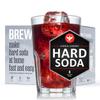 BrewDemon Hard Soda Brewing Kit Plus with Bottles - Our Conical Fermenter Eliminates Sediment and Makes of Great Tasting Hard Soda - 1 Gallon Virgin Cherry view 1