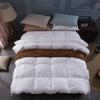 MNXOIA 100% White Duck/Goose Down Winter Quilt, Comforter Duvet Filling Cotton Cover, Twin Single Queen King Size Blanket view 2