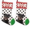 MALIHONG 2 Packs Personalized Black Polka Dot Christsmas Stocking with Cute Dog Rottweiler Red and White Buffalo Plaid Xmas Decor Gift 14.4 Inch view 1