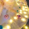 Christmas Tree Skirt Christmas Tree Skirt,36-inch Non-Woven Xmas Tree Skirt,Used for Holiday Christmas Tree Decoration, Home Decoration Best Decoration view 4