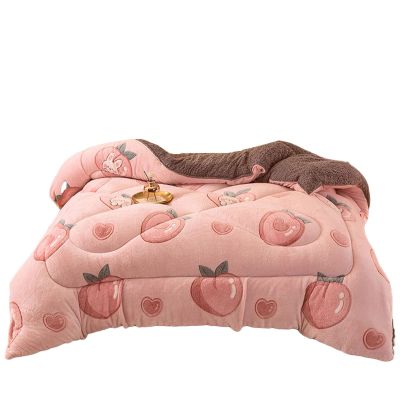BDMFJY Super Warm Lamb Quilt Winter Blanket King Queen Twin Size Double-Sided Velvet Quilt Thickened Warm Autumn Spring Plush Comforter Core,C,200x230cm(3kg)