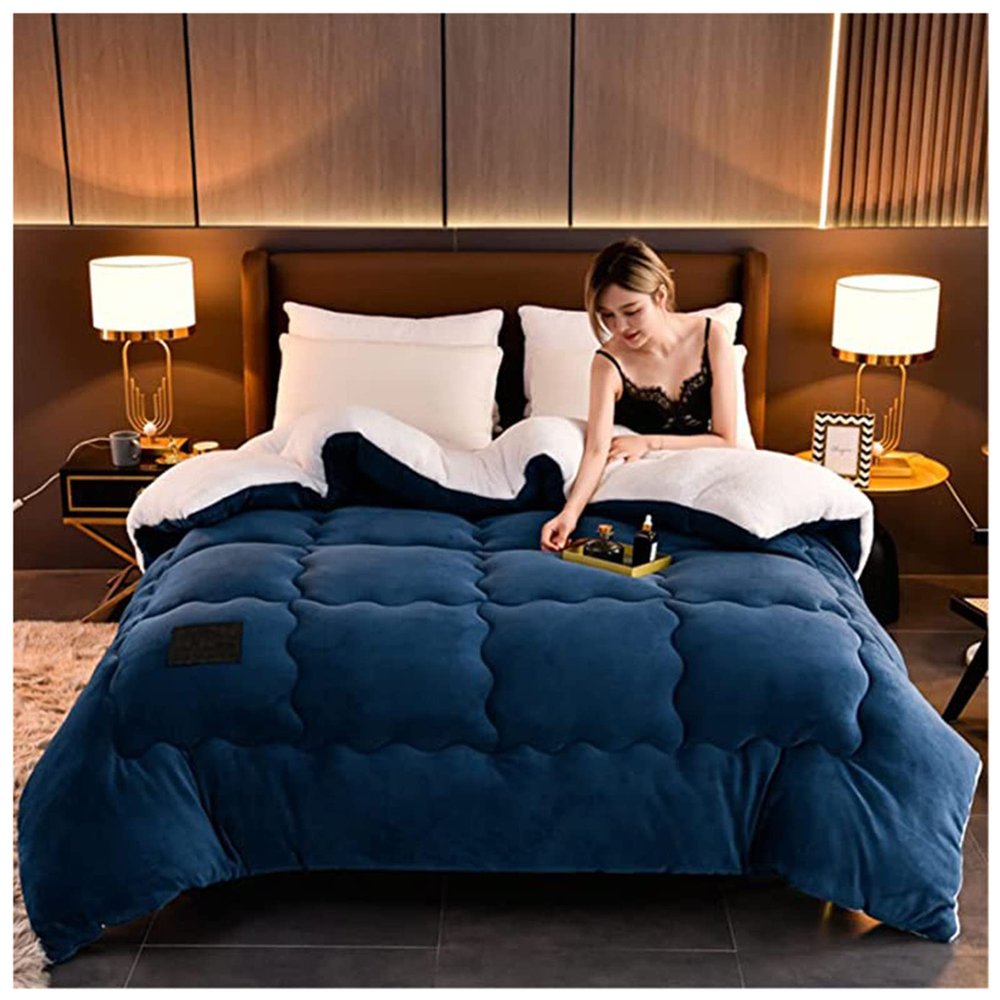 BDMFJY 2.5-5 Kg Super Warm Lamb Solid Color Winter Blanket Double-Sided Fleece Quilt Thickened Warm Plush Quilt,C,200x230cm(3kg)
