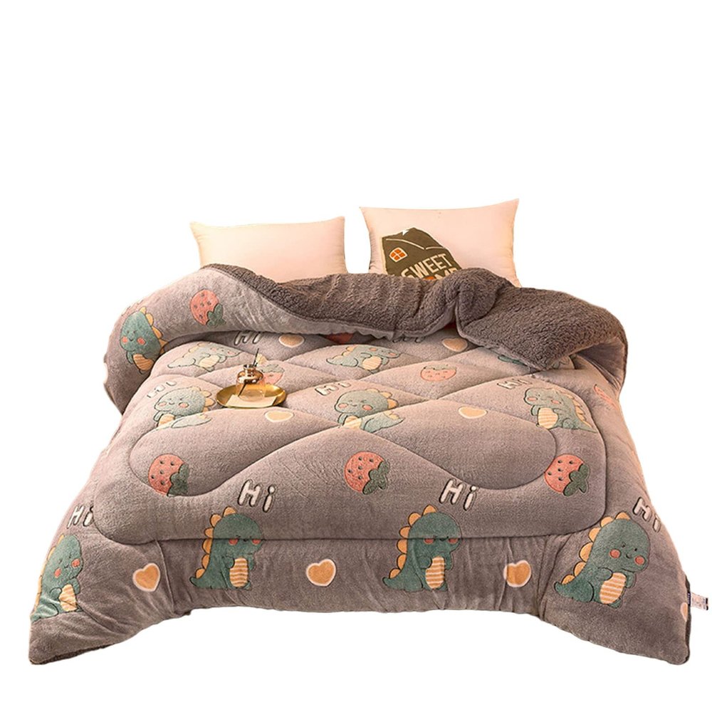 BDMFJY Super Warm Lamb Quilt Winter Blanket King Queen Twin Size Double-Sided Velvet Quilt Thickened Warm Autumn Spring Plush Comforter Core,F,150x200cm(2.5kg)