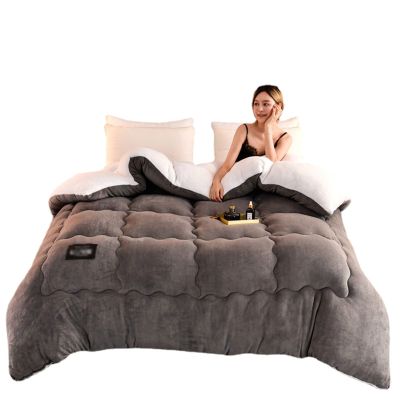 BDMFJY 2.5-5 Kg Super Warm Lamb Solid Color Winter Blanket Double-Sided Fleece Quilt Thickened Warm Plush Quilt,A,200x230cm(5kg)