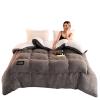 BDMFJY 2.5-5 Kg Super Warm Lamb Solid Color Winter Blanket Double-Sided Fleece Quilt Thickened Warm Plush Quilt,A,200x230cm(5kg) view 1