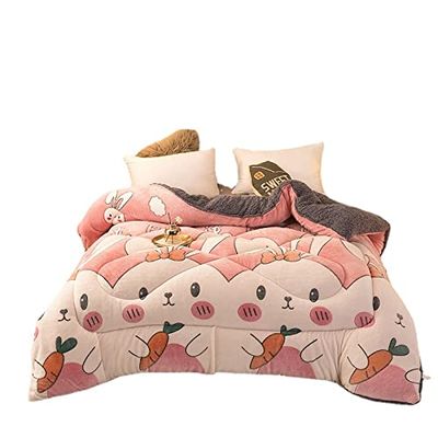 BDMFJY Super Warm Lamb Quilt Winter Blanket King Queen Twin Size Double-Sided Velvet Quilt Thickened Warm Autumn Spring Plush Comforter Core,B,180x220cm(3.5kg)