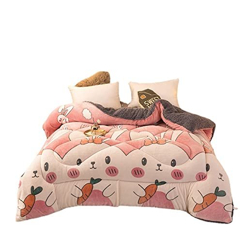 BDMFJY Super Warm Lamb Quilt Winter Blanket King Queen Twin Size Double-Sided Velvet Quilt Thickened Warm Autumn Spring Plush Comforter Core,B,180x220cm(3.5kg)