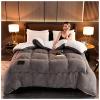 BDMFJY Super Warm Lamb Quilt Winter Blanket 2.5-5 Kg Double-Sided Velvet Quilt Thickened Warm Autumn Spring Plush Comforter Core,Gray,150x200cm(2.5kg) view 2