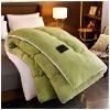 BDMFJY Super Warm Lamb Winter Blanket Double-Sided Fleece Quilt Thickened Warm Plush Quilt for Cold Weather,Green,180x220cm(4kg) view 1