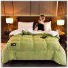 BDMFJY Super Warm Lamb Winter Blanket Double-Sided Fleece Quilt Thickened Warm Plush Quilt for Cold Weather,Green,180x220cm(4kg) view 2