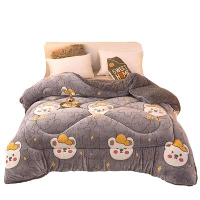 BDMFJY Super Warm Lamb Quilt Winter Blanket King Queen Twin Size Double-Sided Velvet Quilt Thickened Warm Autumn Spring Plush Comforter Core,H,200x230cm(3kg)
