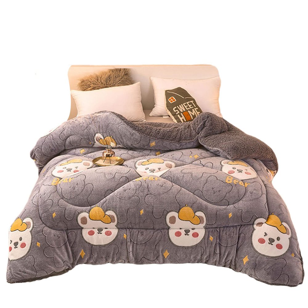 BDMFJY Super Warm Lamb Quilt Winter Blanket King Queen Twin Size Double-Sided Velvet Quilt Thickened Warm Autumn Spring Plush Comforter Core,H,200x230cm(3kg)