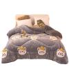 BDMFJY Super Warm Lamb Quilt Winter Blanket King Queen Twin Size Double-Sided Velvet Quilt Thickened Warm Autumn Spring Plush Comforter Core,H,200x230cm(3kg) view 1