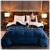BDMFJY Super Warm Lamb Winter Blanket Double-Sided Fleece Quilt Thickened Warm Plush Quilt for Cold Weather,Blue,150x200cm(3.5kg) view 2