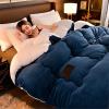 BDMFJY Super Warm Lamb Winter Blanket Double-Sided Fleece Quilt Thickened Warm Plush Quilt for Cold Weather,Blue,150x200cm(2.5kg) view 3