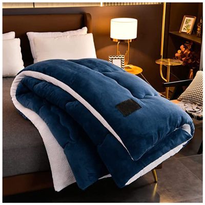 BDMFJY Super Warm Lamb Winter Blanket Double-Sided Fleece Quilt Thickened Warm Plush Quilt for Cold Weather,Blue,180x220cm(3.5kg)
