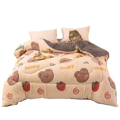 BDMFJY Super Warm Lamb Quilt Winter Blanket King Queen Twin Size Double-Sided Velvet Quilt Thickened Warm Autumn Spring Plush Comforter Core,D,150x200cm(3.5kg)