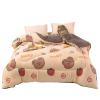BDMFJY Super Warm Lamb Quilt Winter Blanket King Queen Twin Size Double-Sided Velvet Quilt Thickened Warm Autumn Spring Plush Comforter Core,D,150x200cm(3.5kg) view 1