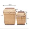 Teng Tian Nantucket baskets Rectangular Handwoven rattan Storage Basket Set with Lid for Shelves and Home Organizer Bins (2-Size Kit) view 3