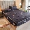 CFYCYHDZHT Bedding Fitted Sheet,Winter Thick Solid Color Flannel Mattress Cover for The Full Queen Bed, Children's Room Warmth Printing Cartoon Bed Protector,Grey,150cmx200cm view 1