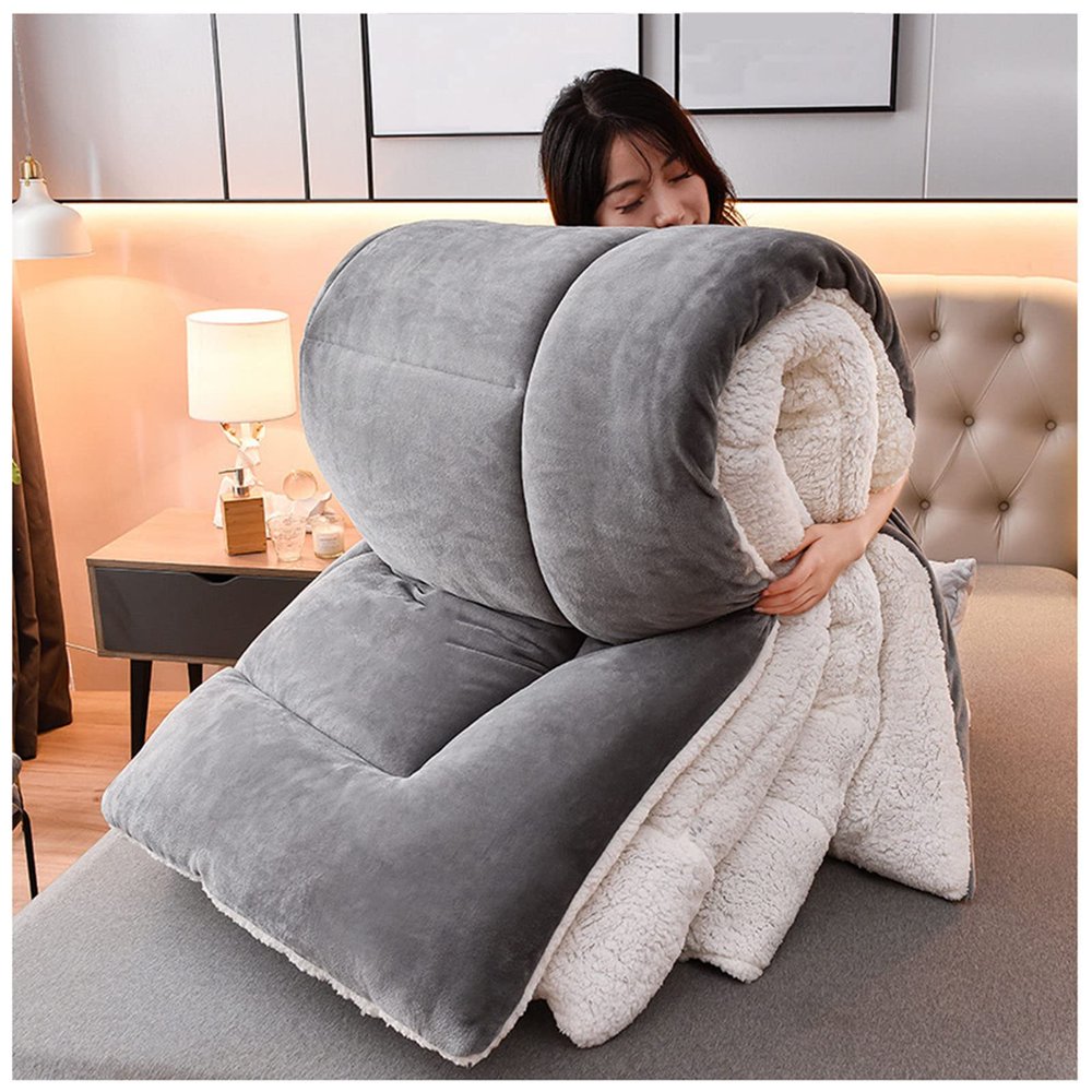 BDMFJY Super Warm Lamb Quilt Winter Blanket 1-5 Kg Double-Sided Velvet Quilt Thickened Warm Autumn Spring Plush Comforter Core, Winter Quilt Full Size,Gray,180x220cm3.5kg