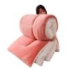 BDMFJY Super Warm Lamb Quilt Winter Blanket 1-5 Kg Double-Sided Velvet Quilt Thickened Warm Autumn Spring Plush Comforter Core, Winter Quilt Full Size,Pink,150x200cm3kg view 1