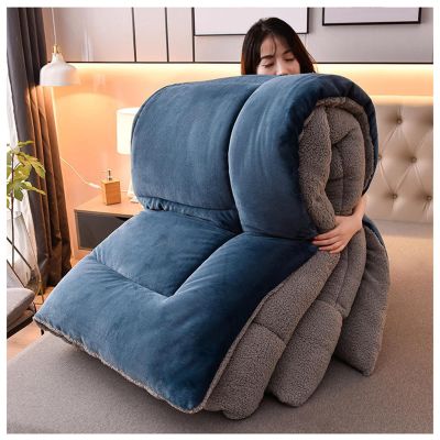 BDMFJY Super Warm Lamb Quilt Winter Blanket 1-5 Kg Double-Sided Velvet Quilt Thickened Warm Autumn Spring Plush Comforter Core, Winter Quilt Full Size,Blue,200x230cm4kg