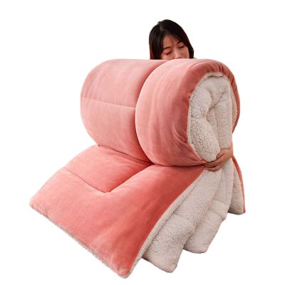 BDMFJY Super Warm Lamb Quilt Winter Blanket 1-5 Kg Double-Sided Velvet Quilt Thickened Warm Autumn Spring Plush Comforter Core, Winter Quilt Full Size,Pink,200x230cm4kg